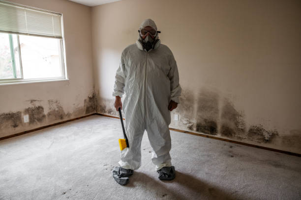 Mold Testing and Removal in Minerva Park, OH